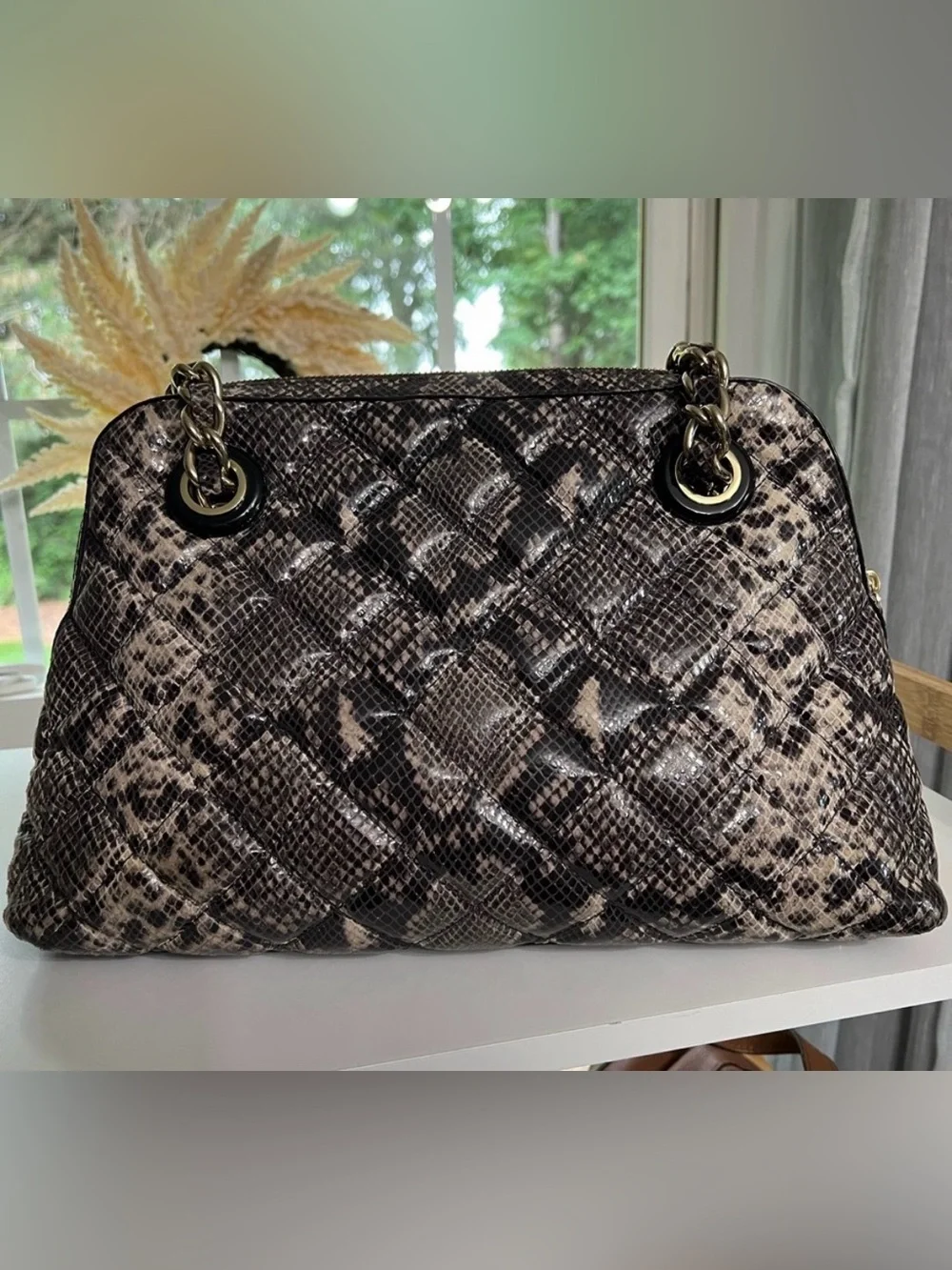 kate spade Neutral Snake-Print Chain Shoulder Bag